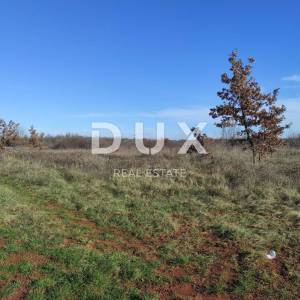 ISTRA, UMAG - Građevinsko zemljište 900m od mora