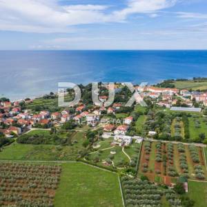 ISTRA, UMAG - Izvanredna luksuzna vila