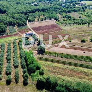 ISTRA, UMAG - Neponovljiva privatna stancija smještena u prirodnoj oazi