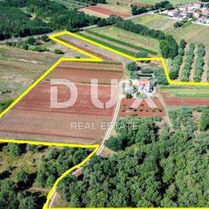 ISTRA, UMAG - Neponovljiva privatna stancija smještena u prirodnoj oazi