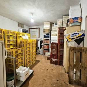 ISTRA, UMAG - Neponovljiva privatna stancija smještena u prirodnoj oazi