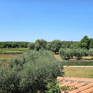 ISTRA, UMAG - Neponovljiva privatna stancija smještena u prirodnoj oazi