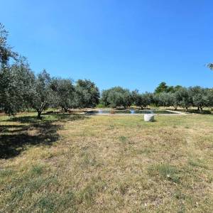 ISTRA, UMAG - Neponovljiva privatna stancija smještena u prirodnoj oazi