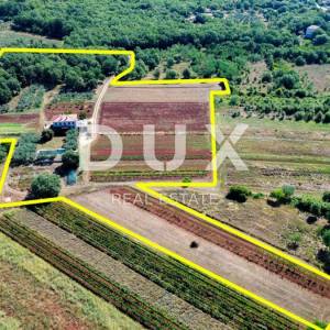 ISTRA, UMAG - Neponovljiva privatna stancija smještena u prirodnoj oazi