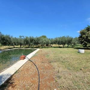 ISTRA, UMAG - Neponovljiva privatna stancija smještena u prirodnoj oazi