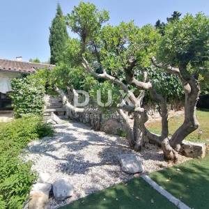 ISTRA, UMAG - Prekrasno imanje sa kućom i bungalovima 250 m od mora 