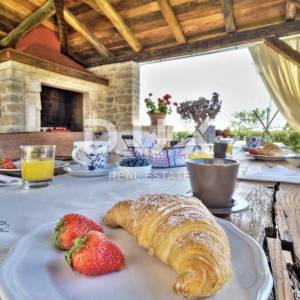 ISTRA, UMAG, SAVUDRIJA - Kamena samostojeća vila na osami
