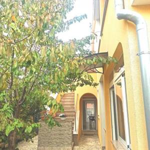 ISTRA, VALBANDON Kuća s 3 apartmana i dvorištem u blizini mora