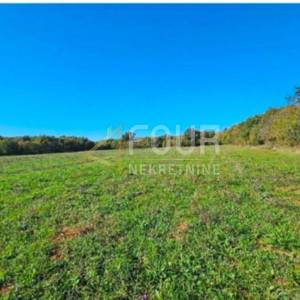 Istra, Valtura, poljoprivredno zemljište, 39.659m2