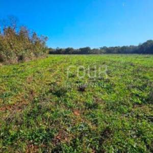 Istra, Valtura, poljoprivredno zemljište, 39.659m2