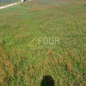 Istra, Valtura, poljoprivredno zemljište 501m2