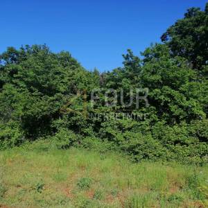 Istra, Valtura, poljoprivredno zemljište 9.985m2