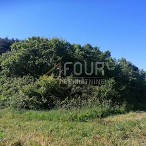 Istra, Valtura, poljoprivredno zemljište 9.985m2