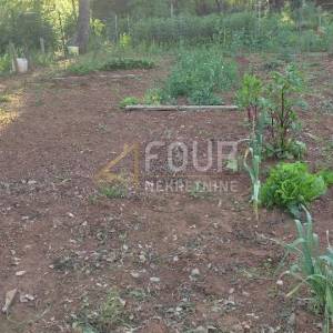 Istra, Valtura, poljoprivredno zemljište 756m2