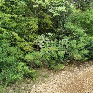 Istra, Valtura, poljoprivredno zemljište 13.248m2