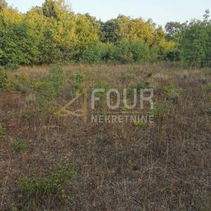 Istra, Valtura, poljoprivredno zemljište 13.248m2