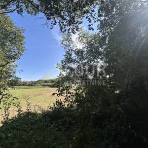 Istra, Vintijan, 2.500m2, poljoprivredno zemljište