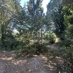 Istra, Vintijan, 2.500m2, poljoprivredno zemljište