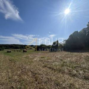 Istra, Vintijan, 2.500m2, poljoprivredno zemljište