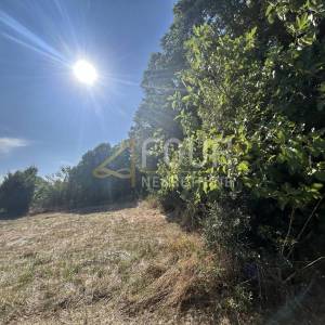 Istra, Vintijan, 2.500m2, poljoprivredno zemljište