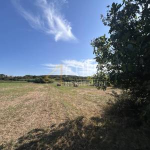 Istra, Vintijan, 2.500m2, poljoprivredno zemljište