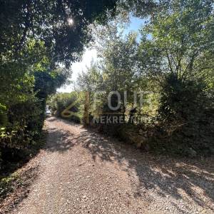 Istra, Vintijan, 2.500m2, poljoprivredno zemljište