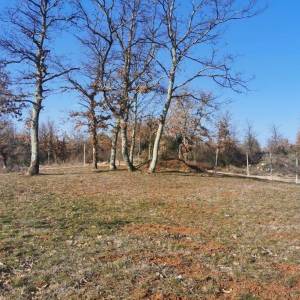 ISTRA, VIŠNJAN - Imanje s dvije kuće i pogledom na more