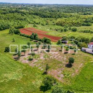 Istra, Višnjan okolica-građevinsko poljoprivredno zemljište