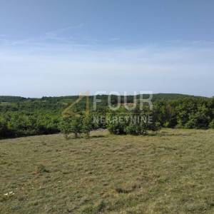 Istra, Višnjan - okolica, poljoprivredno zemljište 62.710m2