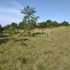 Istra, Višnjan - okolica, poljoprivredno zemljište 19.190m2
