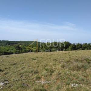 Istra, Višnjan - okolica, poljoprivredno zemljište 19.190m2