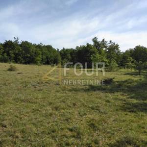 Istra, Višnjan - okolica, poljoprivredno zemljište 19.190m2