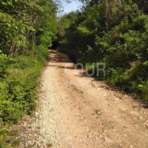 Istra, Višnjan - okolica, poljoprivredno zemljište 38.900m2