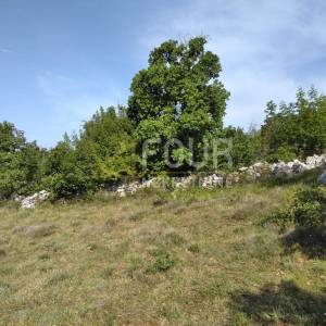 Istra, Višnjan - okolica, poljoprivredno zemljište 38.900m2