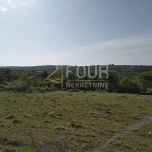 Istra, Višnjan - okolica, poljoprivredno zemljište 38.900m2
