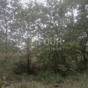 Istra, Višnjan - okolica, poljoprivredno zemljište 44.600m2
