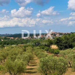 ISTRA, VIŠNJAN - Vila s koje se pruža panoramski pogled