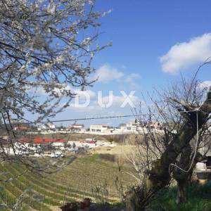 ISTRA, VIŽINADA - Apartmanska kuća s 5 apartmana, panoramski pogled