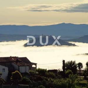 ISTRA, VIŽINADA - Građevinsko zemljište s pogledom na Motovun