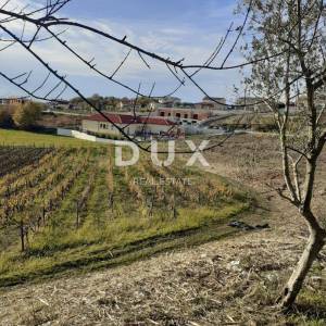 ISTRA, VIŽINADA - Građevinsko zemljište prekrasnog pogleda