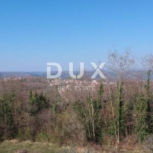 ISTRA, VIŽINADA - Građevinsko zemljište na brežuljku s panoramskm pogledom