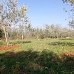 ISTRA, VIŽINADA - Građevinsko zemljište na brežuljku s panoramskm pogledom
