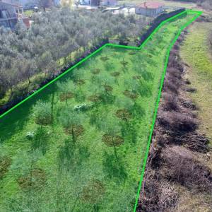 ISTRA, VIŽINADA - Građevinsko zemljište na brežuljku s panoramskm pogledom