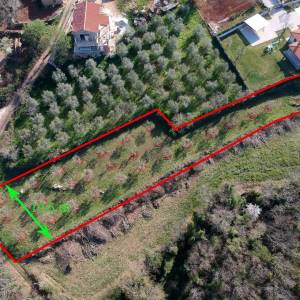 ISTRA, VIŽINADA - Građevinsko zemljište na brežuljku s panoramskm pogledom