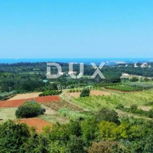 ISTRA, VIŽINADA - Luksuzna vila sa infinity bazenom
