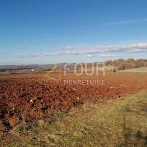 Istra, Vižinada, poljoprivredno zemljište, 24.068m2