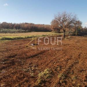 Istra, Vižinada, poljoprivredno zemljište, 24.068m2