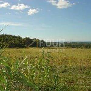 Istra, Vižinada, poljoprivredno zemljište, 24.068m2