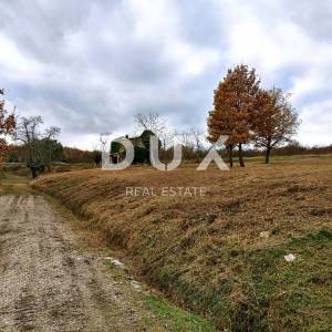 ISTRA, VIŽINADA - Prostrano zemljište s građevinskom dozvolom i idejnim rješenjem
