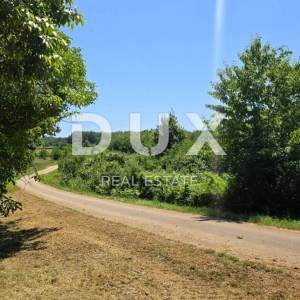 ISTRA, VIŽINADA - Prostrano autentično imanje